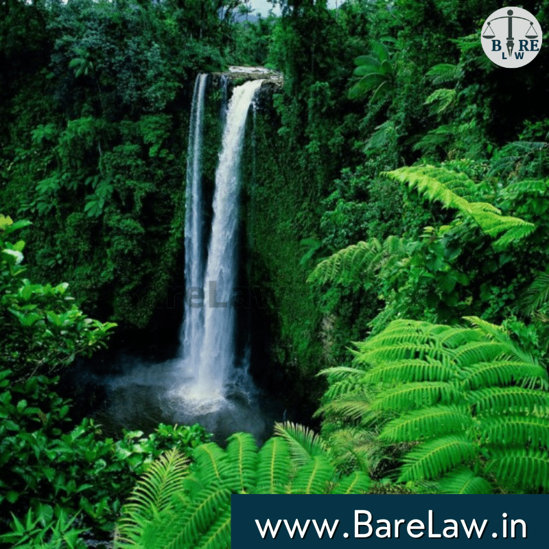 Fundamental Principles Of Environmental Law BareLaw in