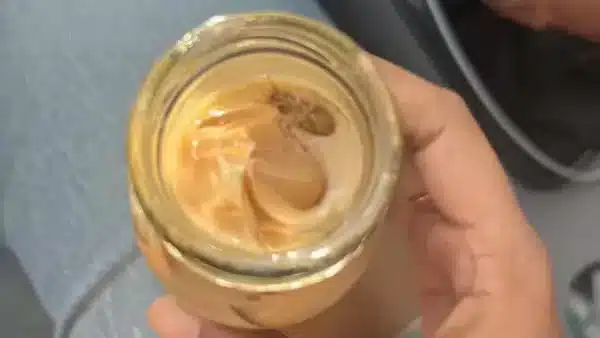 Legal Recourse for Food Contamination Incidents in India: What You Need to Know